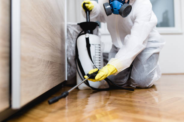 Best Residential Pest Control  in Whitney Point, NY