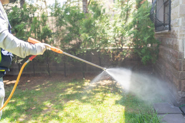 Best Residential Pest Control  in Whitney Point, NY
